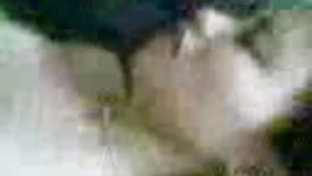 女同性恋西方舞蹈 成熟女性喷出