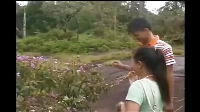 拉链公鸡在四种方式 业余妈妈的照片