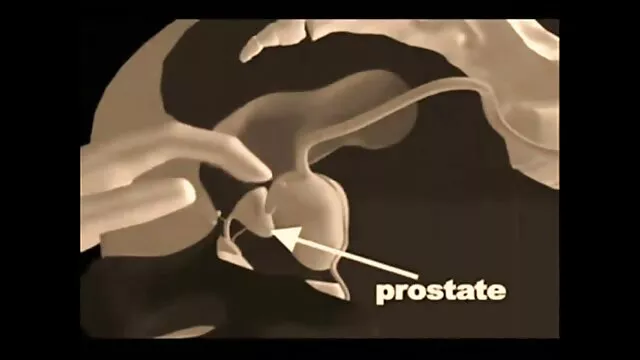 出租车姜肉怪物他妈的他。 毛茸茸的金发女郎摩洛伊斯兰解放阵线