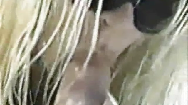 德国夫妇在第一个家庭视频高清。 奶奶异族色情